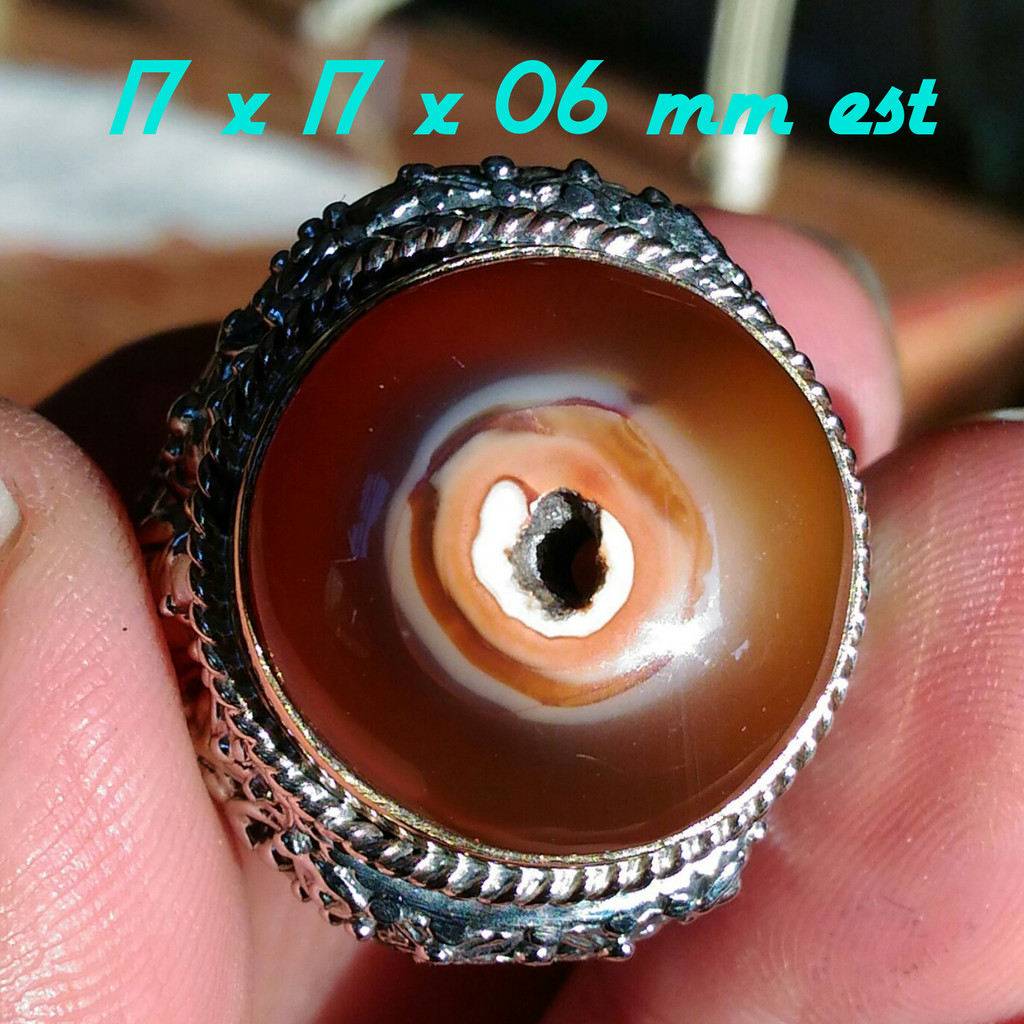 Natural Sulaiman Madu Combong Super Wingit Alami Rare Item