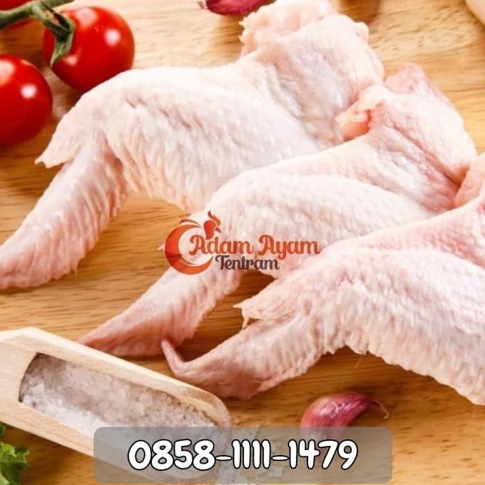 

diskon! sayap ayam fresh / chicken wings