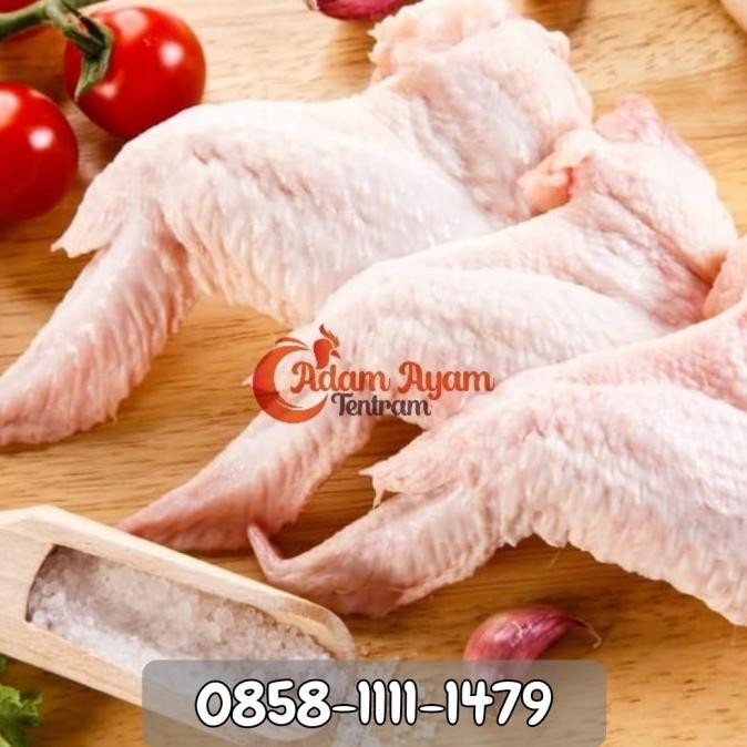 

diskon! sayap ayam frozen / chicken wings