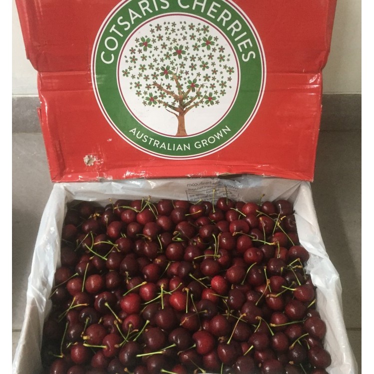 

Cherry Ceri Australia 1 Dus (5 KG) Fresh Import