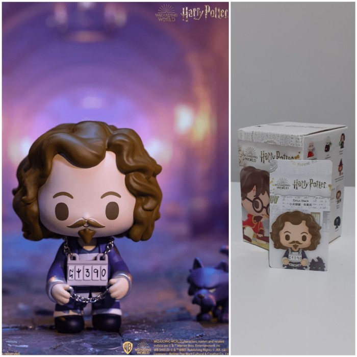 POP MART - Harry Potter Magic Props Series / Sirius Black