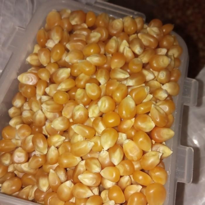 

Popcorn 10 Kg Terbaru 100 % Original