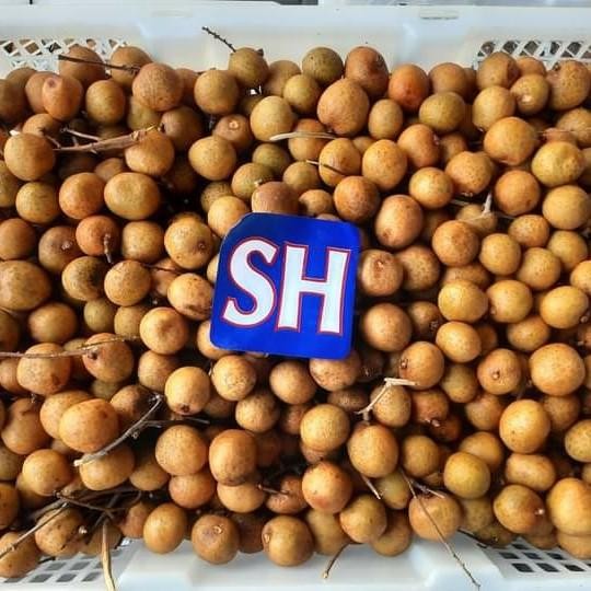 

Buah Kelengkeng 1 Keranjang 10Kg / Kelengkeng 1 Krat New 100 % Original