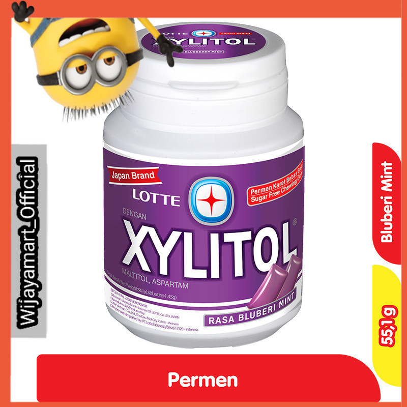 

LOTTE XYLITOL Permen Karet Bluberi Mint 55.1 g