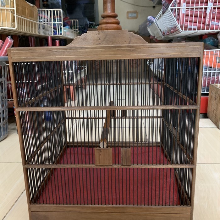 TERBARU SANGKAR KANDANG KOTAK WAMBI JATI JEPARA RUJI RAPET