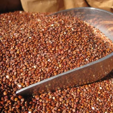 

ORGANIC RED QUINOA 1KG