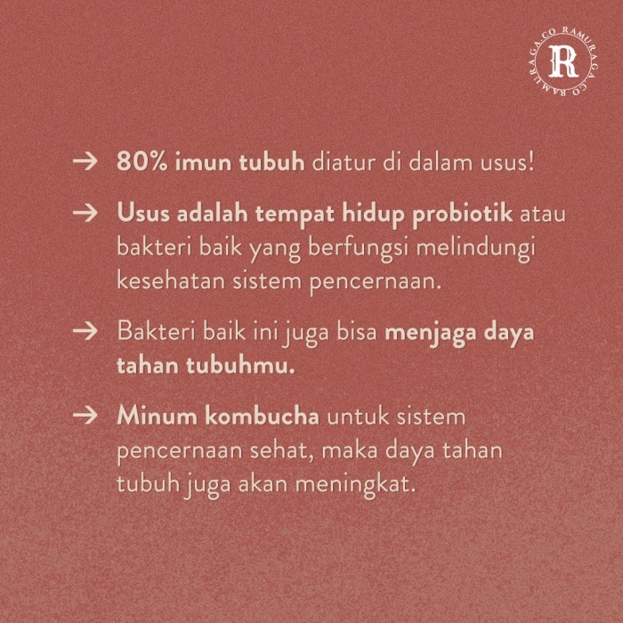 

Get Well Soon Gws Hampers Sehat Care Package Immune Booster Kombucha Murah