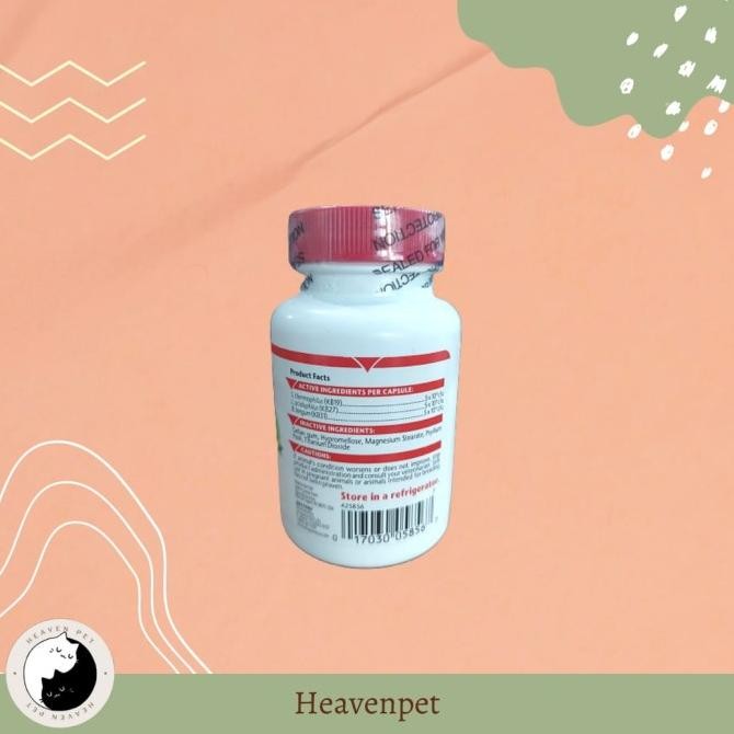 Sale Azodyl - Probiotik Vitamin Untuk Ginjal Anjing Kucing