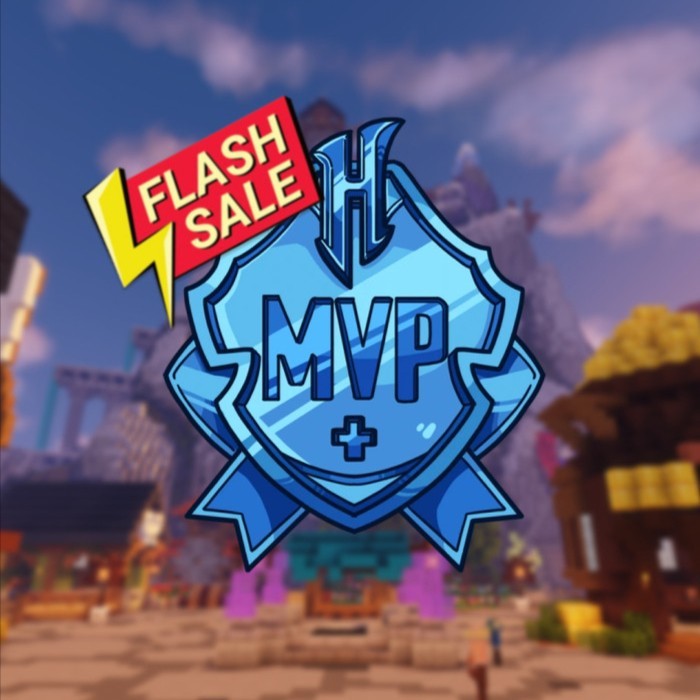 Hypixel Rank MVP+ & Minecraft Java ACC