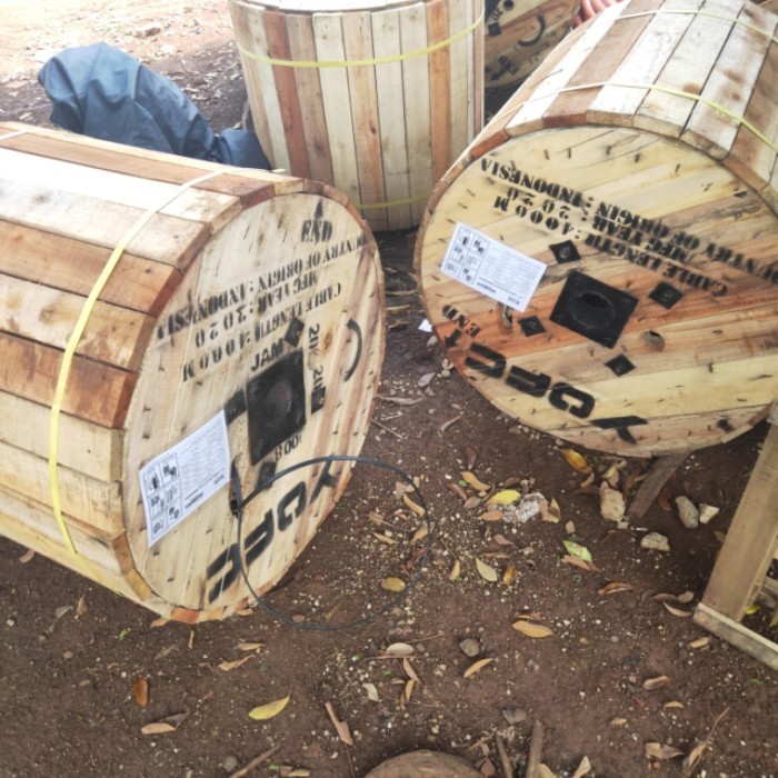 Kabel fiber optic 12 core armour mini