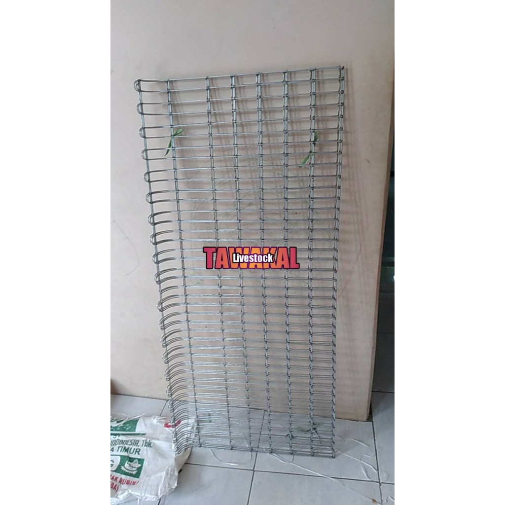 alas kandang batterai galvanis ayam petelur ukuran panjang 120x60cm