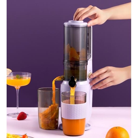 Dafa - Youpin Daewoo Household Electric Slow Juicer