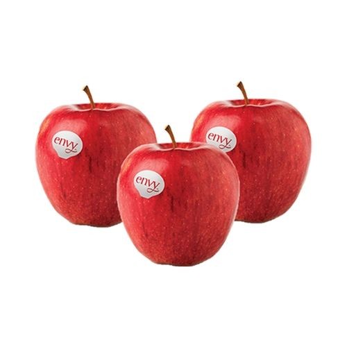 

Apple Envy 90-110 Kg