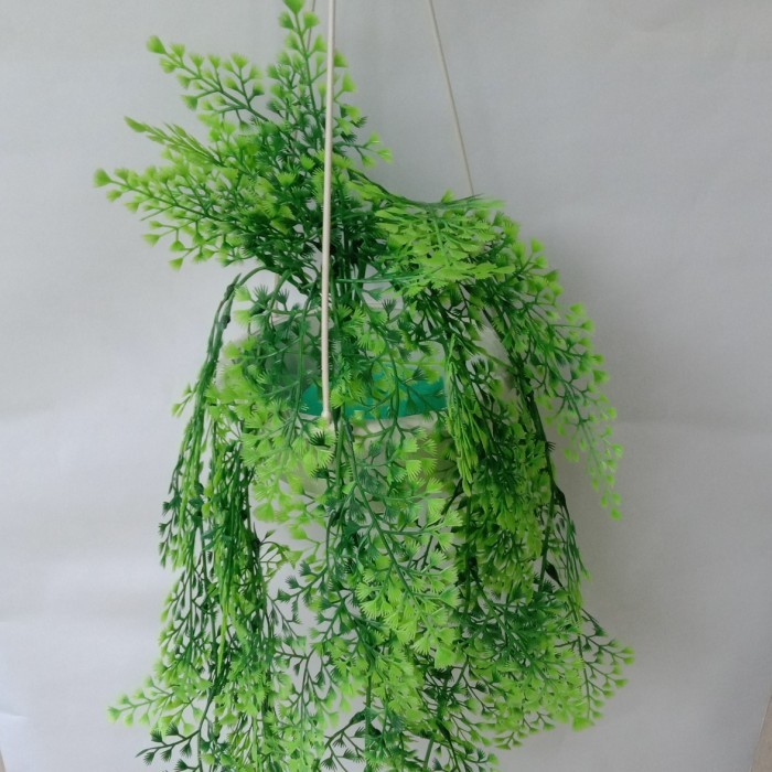 Tanaman Hias Plastik, Pakis Rambat / Pakis Gantung #Gratisongkir #Sale #Discount