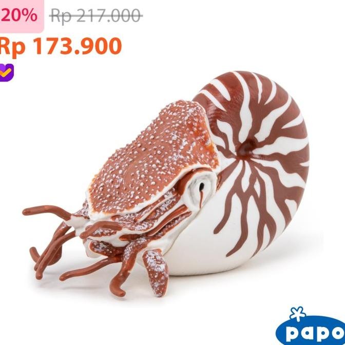 Papo 56061 - Nautilus - Animal Figure