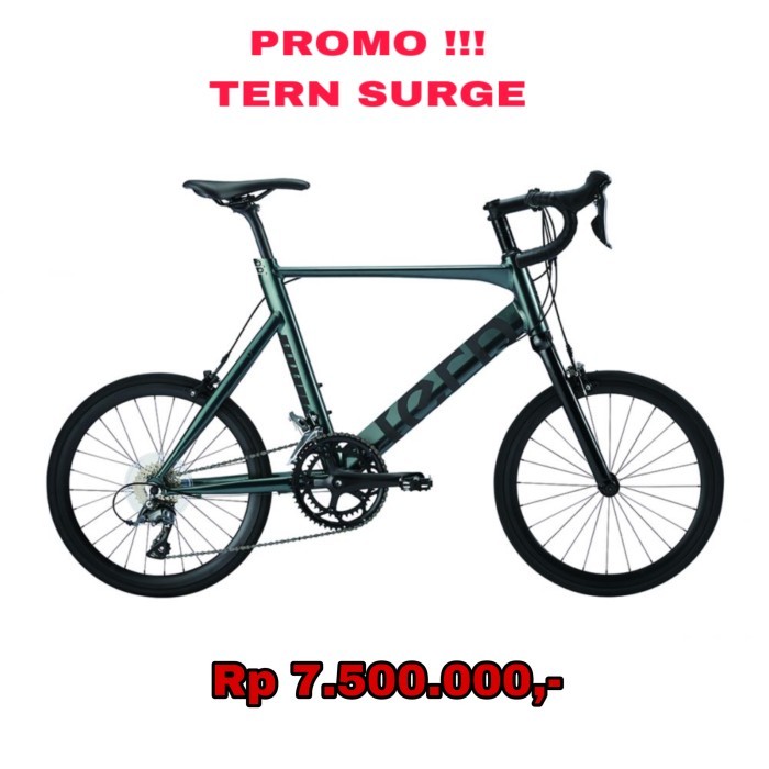 Sepeda Minivelo Tern Surge 451