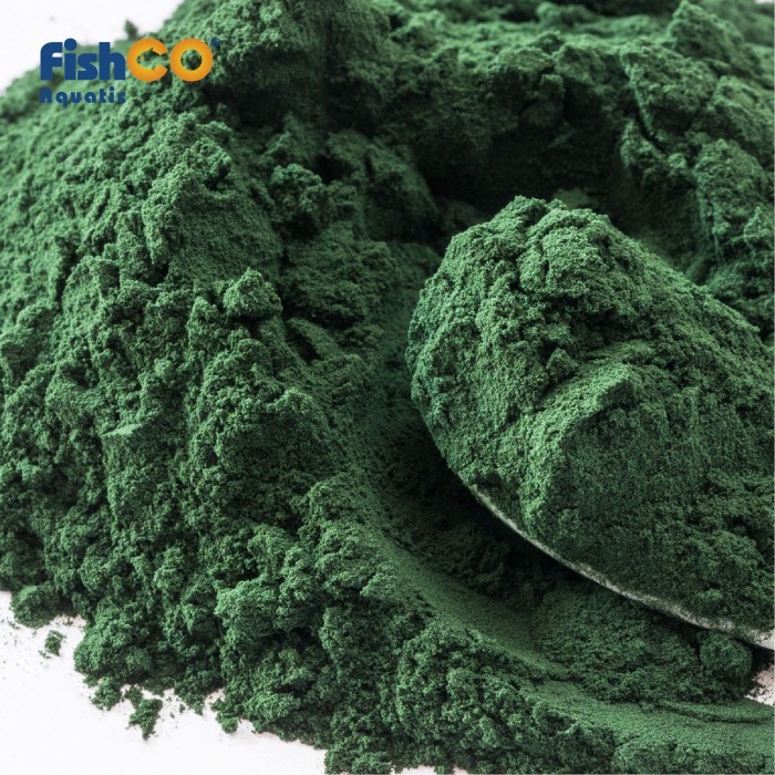 Spirulina Powder / Bubuk Spirulina Premium Food Grade 100Gr