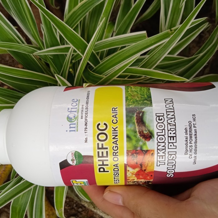 Pestisida Insektisida Organik Obat Hama Daun Anti Hama Tanaman