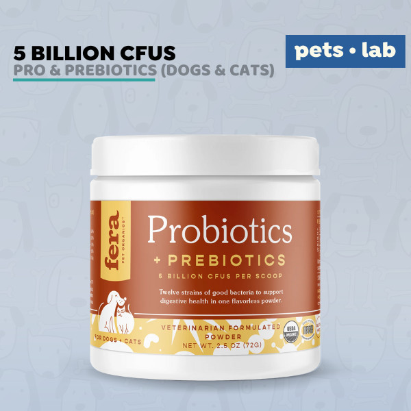 Terbaru Fera Pet Organic Probiotics Prebiotics Probiotik Anjing Kucing Vitamin