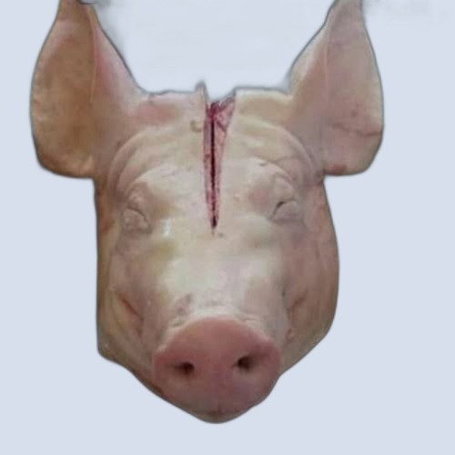 

DAGING BABI KEPALA UTUH / 5 KILO