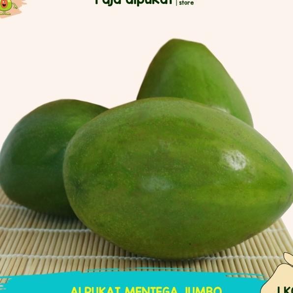 

Alpuat Mentega Grade Jumbo 1 G Raja Alpuat