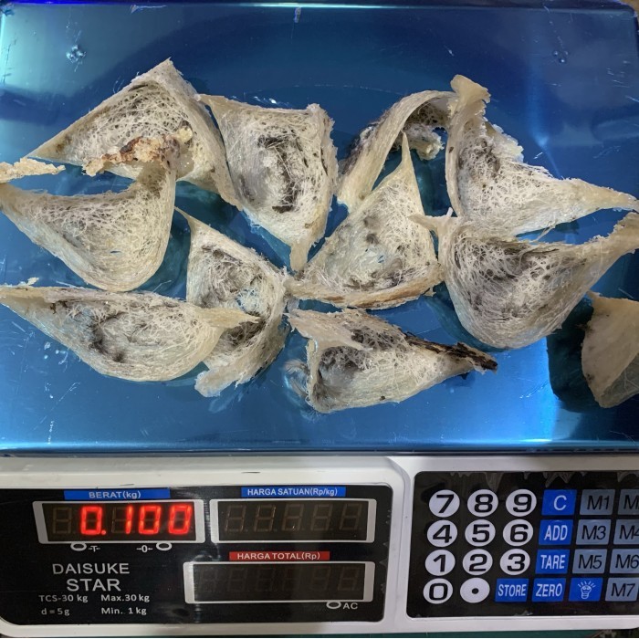 

sarang burung wallet 100 gram yenwo