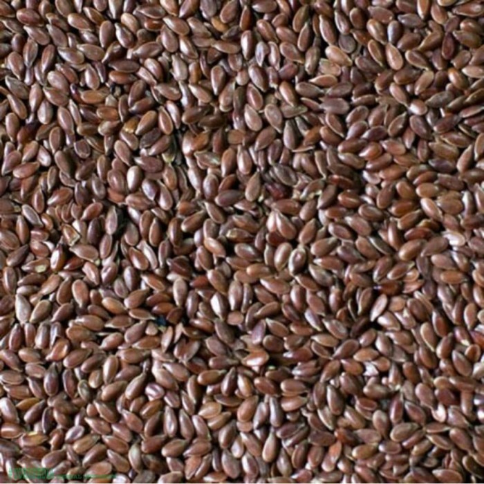 

# 250 G GR GRAM BROWN FLAXSEED FLAXSEEDS FLAX SEED SEEDS BIJI RAMI