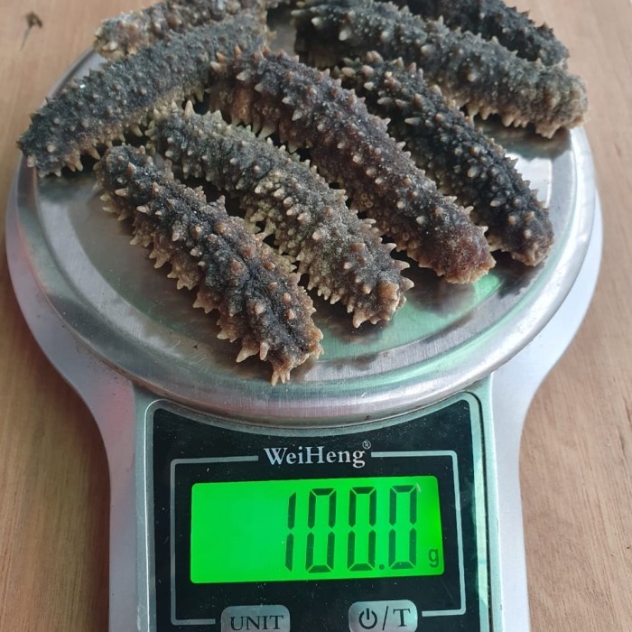 

HAISOM ( TERIPANG ) DURI KUALITAS SUPER 100 GR ISI 8-10 PCS