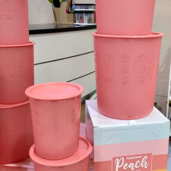 Tupperware Canister Peach