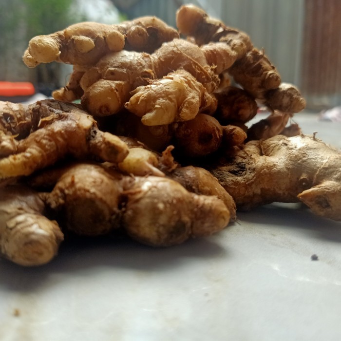 

TERBAIK jahe emprit Jawa segar 1 kg (sudah di cuci)