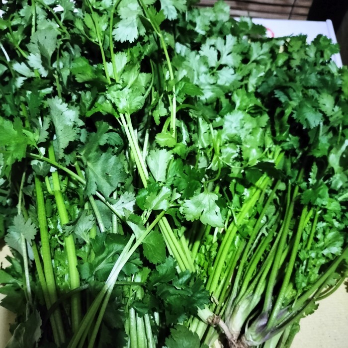 

MURAH daun ketumbar segar 500gr