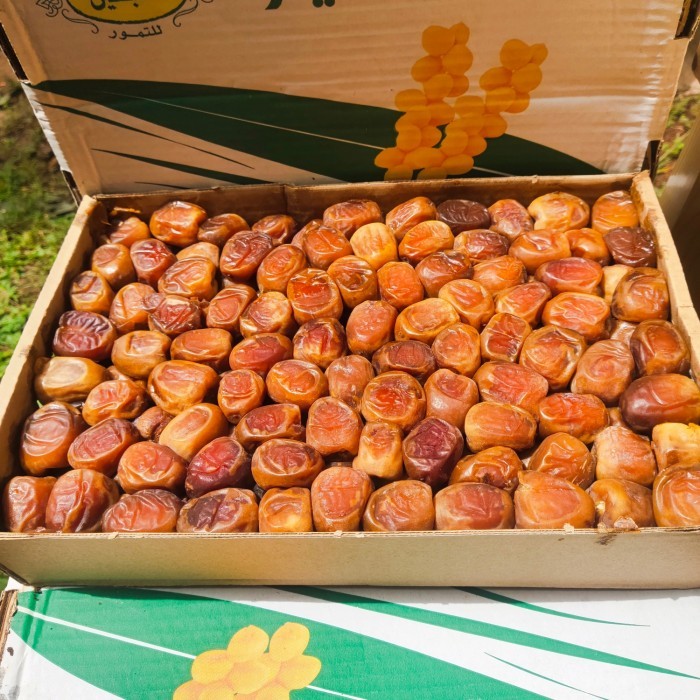 

Termurah Kurma Sukari Premium 3Kg High Quality