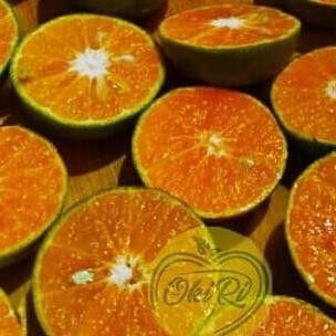 

SALE! JERUK PERAS PONTIANAK | YANG MEMILIKI RASA 80% MANIS 20% ASAM ( 5KG )