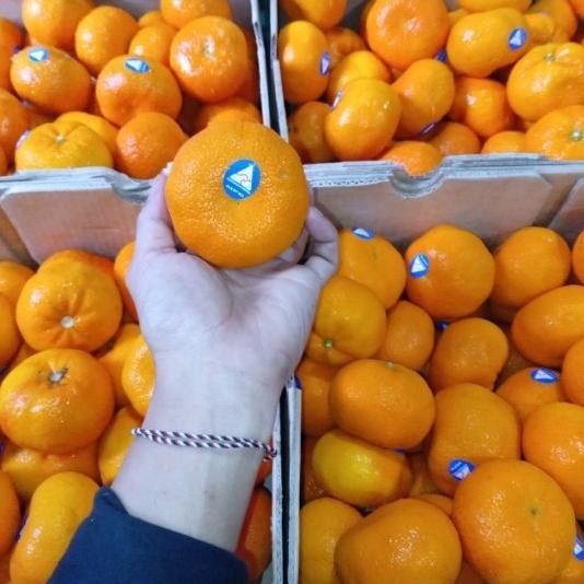 

SALE! JERUK AFFOURER MANIS SEGAR 1 KG