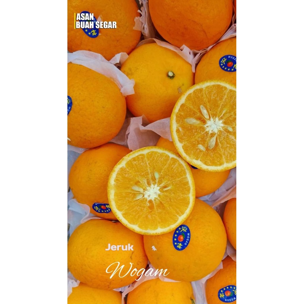 

SALE! BUAH JERUK PONKAN TAIWAN HDL MANIS SEGAR IMLEK SINCIA