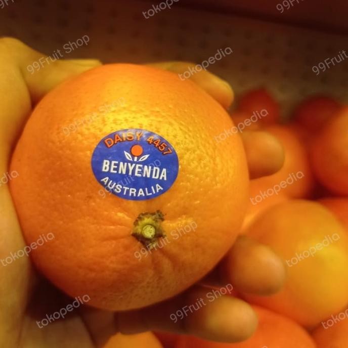 

SALE! BUAH JERUK MANDARIN DAISY SUPER AUSTRALIA MANIS SEGAR 1 KG