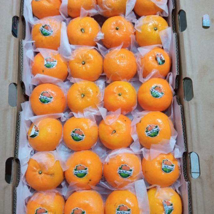 

SALE! JERUK WOKAM HOLY FRESH