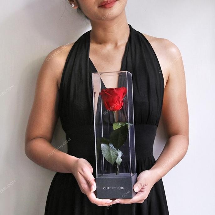 

Hadiah Valentine - Outerbloom Enchanted Love Pirouette TP