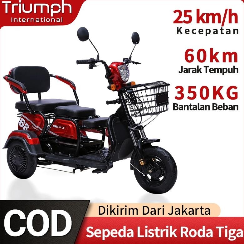 Sepeda motor listrik/sepeda listrik roda 3 /motor listrik roda 3/motor roda tiga/sepeda listrik [48V