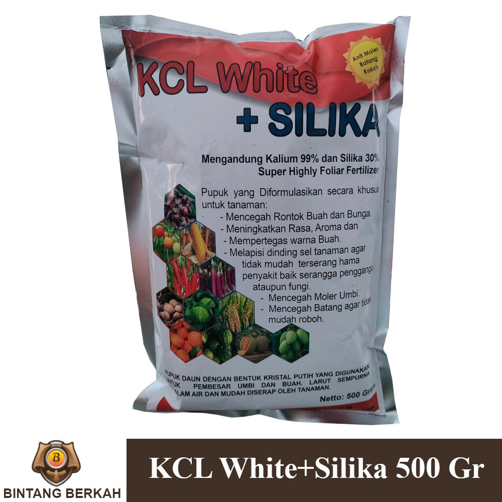 KCL White Plus Silika 500 Gram Pupuk Pembuahan Pembesar Umbi Anti Moler Umbi