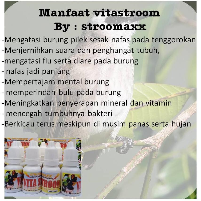 aw-96 vitamin burung lomba Doping burung trucukan vitamin burung trucuk kacer cucak hijau murai batu