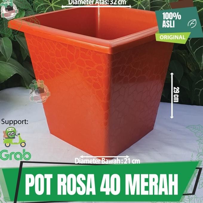 Pot Besar Tanaman Hias Bunga Buah Kotak Hitam Merah Putih 40 45 Taman MMU