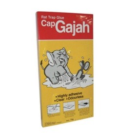 

New Arrival Lem Tikus Cap Gajah Wok66