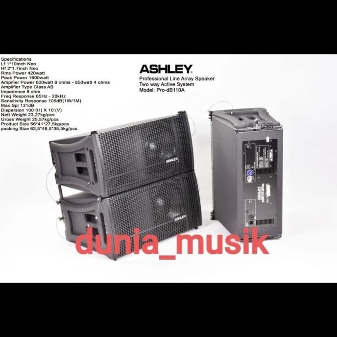 speaker line array ashley pro db110 prodb110 prodb 110 original ashley