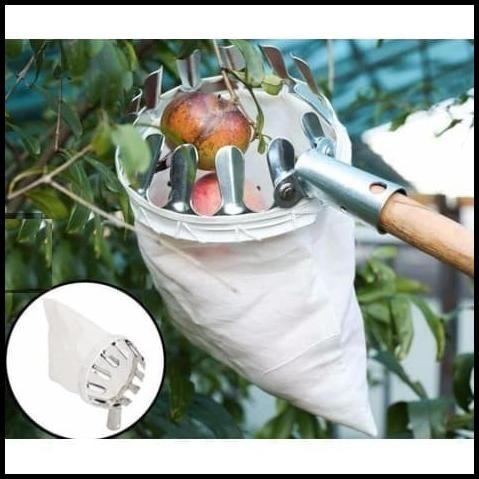 

BELI 1PCS Brokeless Fruit TH2810
