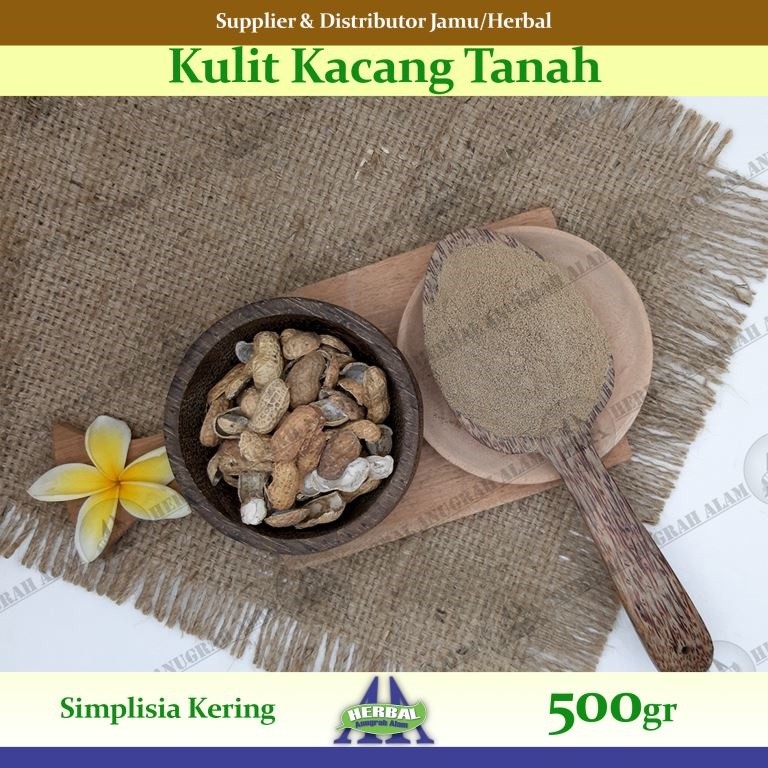 Kulit Kacang Tanah (Kering) 500Gr | Arachis Hypogaea | Kacang Brol - 100% Murni #Herbal