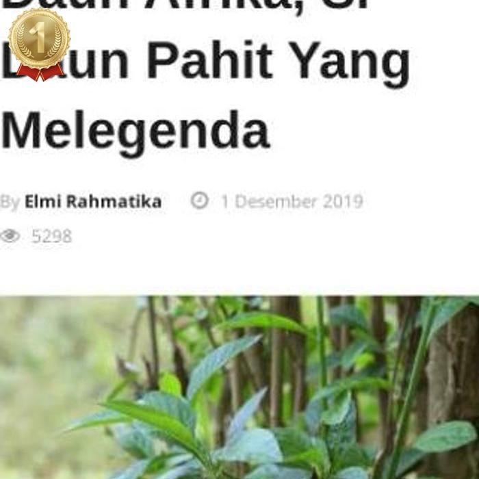 

Paket Daun Afrika Segar Obat Herbal Teh Cina Daun Herbal