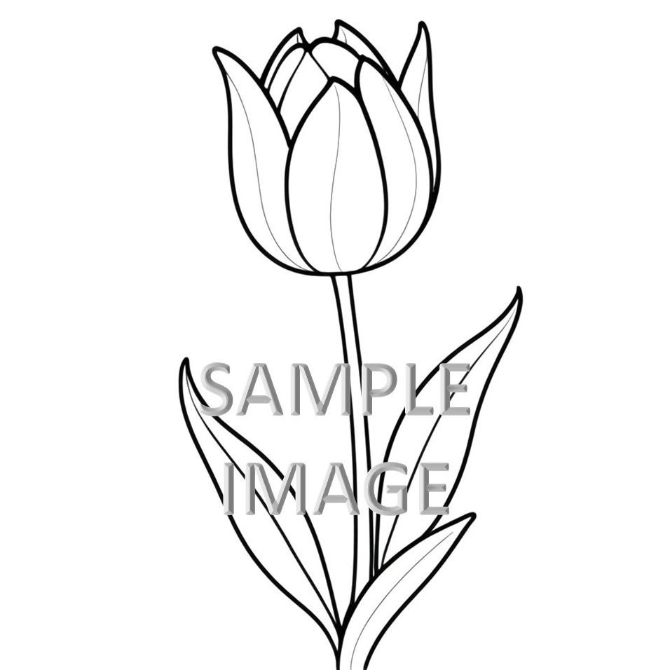 

Diskon Spesial Kertas Mewarnai Ukuran A5 / Bunga Tulip / Gambar Mewarnai / Coloring Book / Untuk Sd Tk Paud Harga Terjangkau