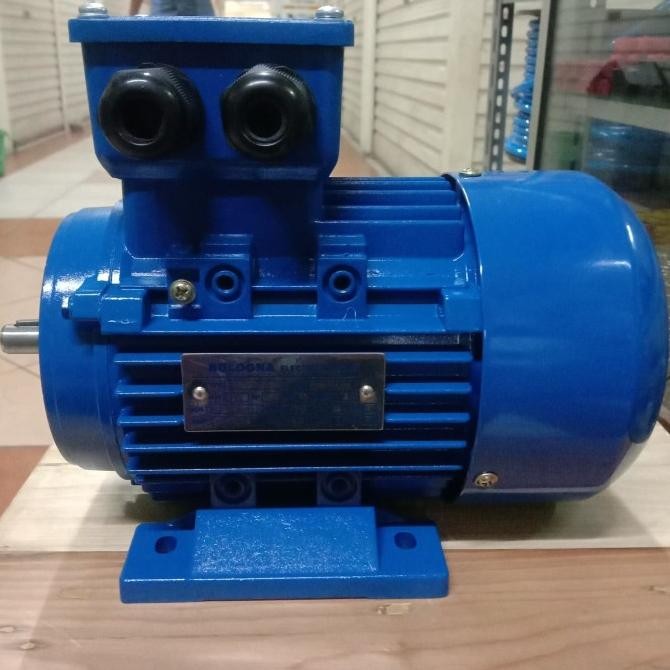 [ Bv ] Dinamo 1/4 Hp/0.25Kw 3Phase