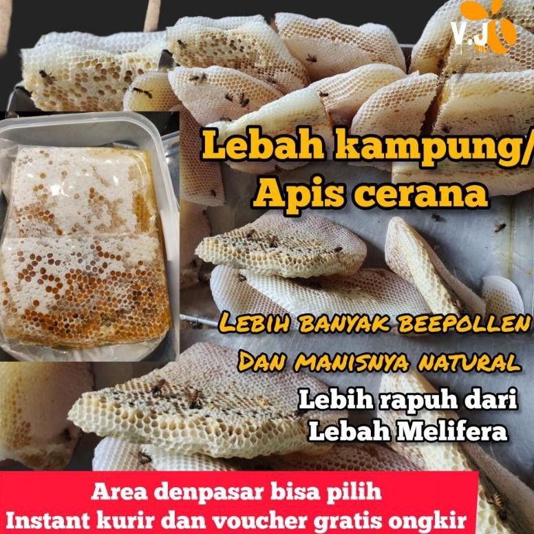 

Ori Sarang Madu Lebah Kampung/Cerana/Nyawan. Murah